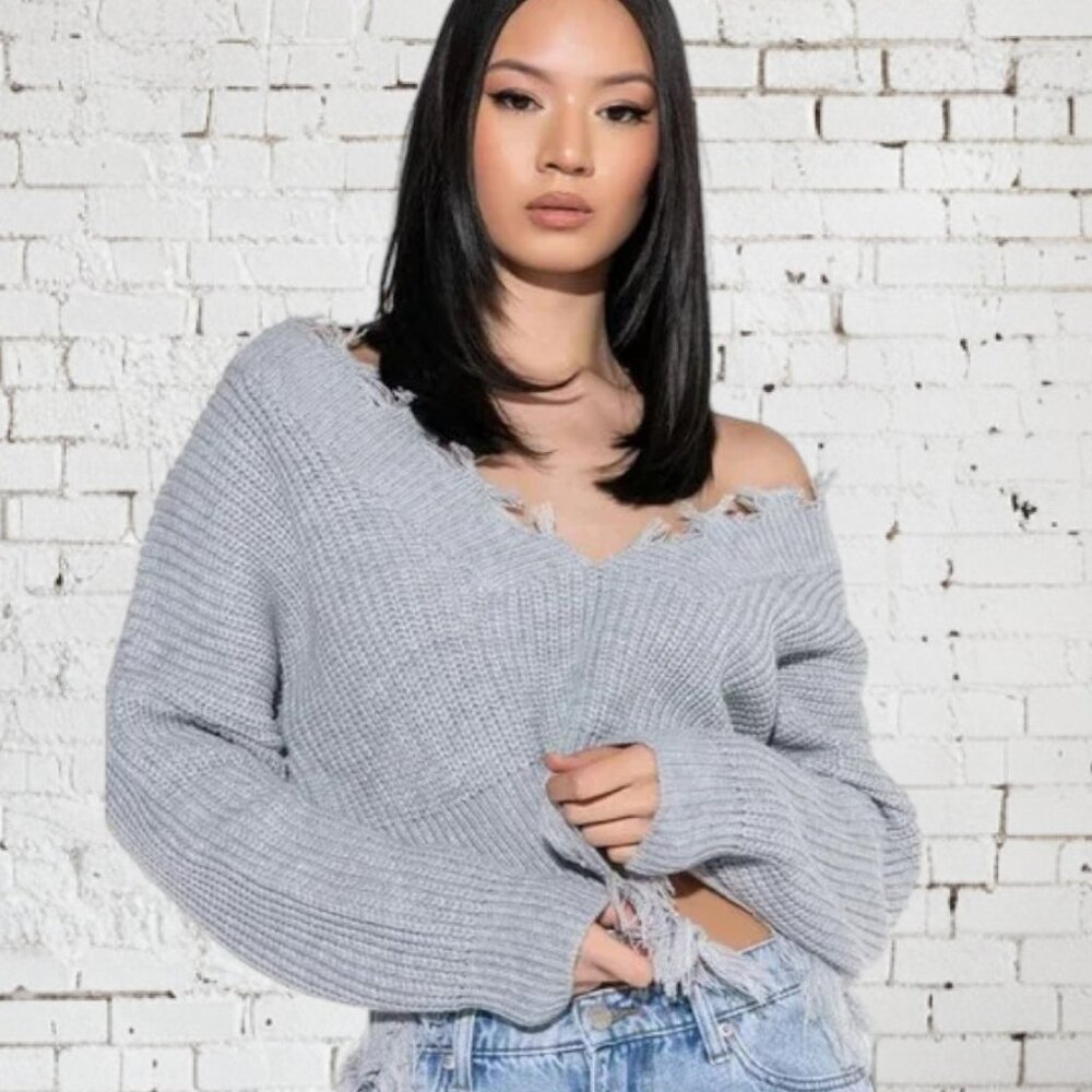 NWT Hera Cropped Distressed Crop Sweater Gray